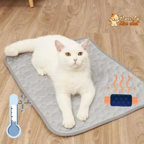 tapis chat rafraîchissant action