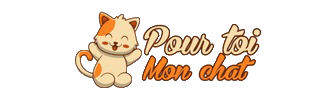 Pour toi Mon chat