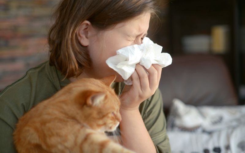 Femme avec un chat roux dans les bras qui se mouche car elle est allergique aux chats