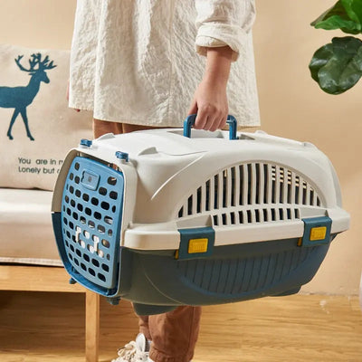 cage de transport bleue et blanche à la main d'une personne