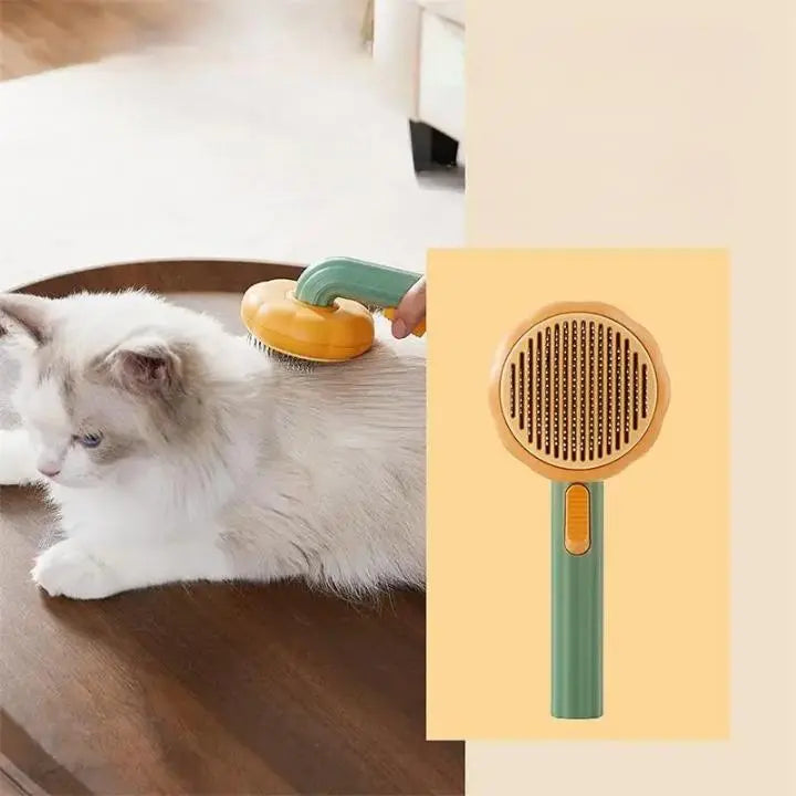 chat qui se fait brosser avec une brosse poil verte et jaune