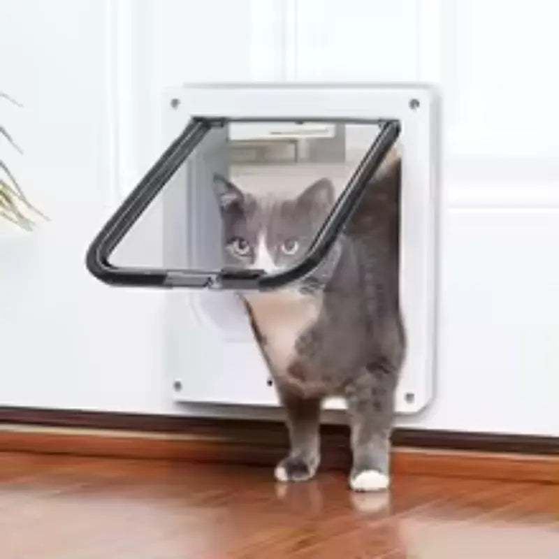 chat qui passe par une chatière blanche