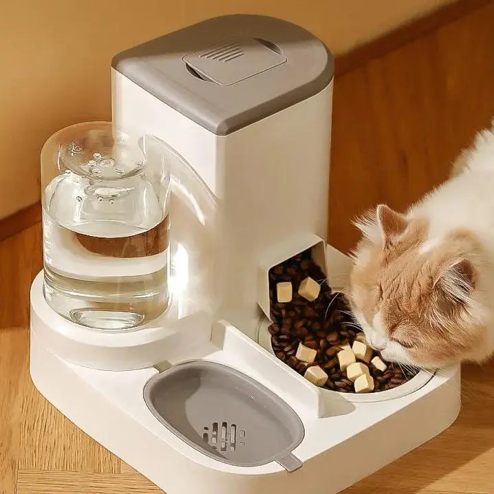 distributeur croquettes et eau avec un chat qui mange