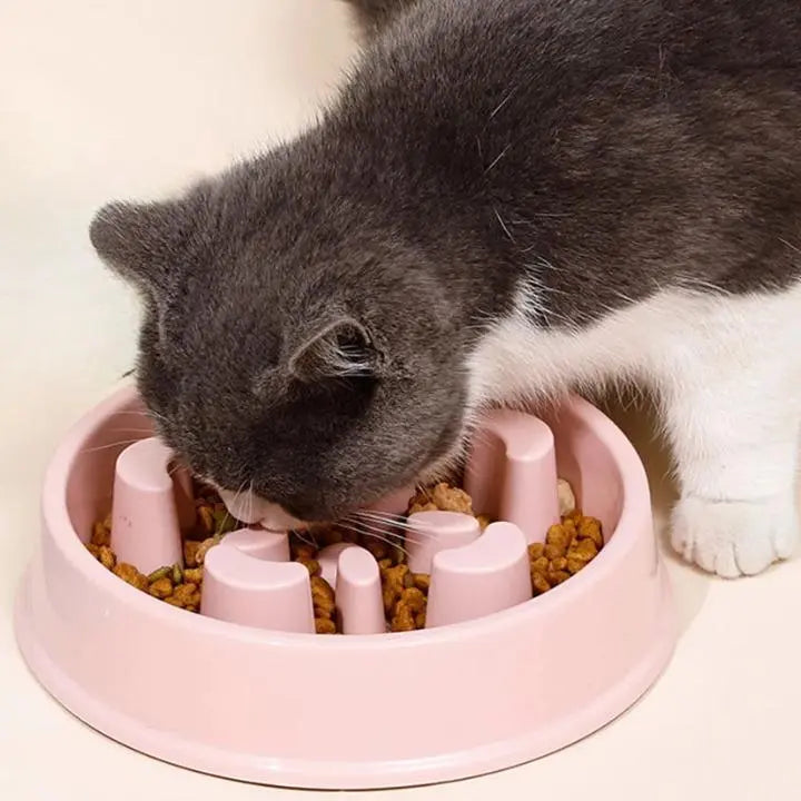 chat mange dans une gamelle anti glouton rose