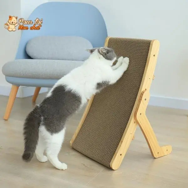 chat faisant ses griffes sur griffoir en bois devant fauteuil bleu