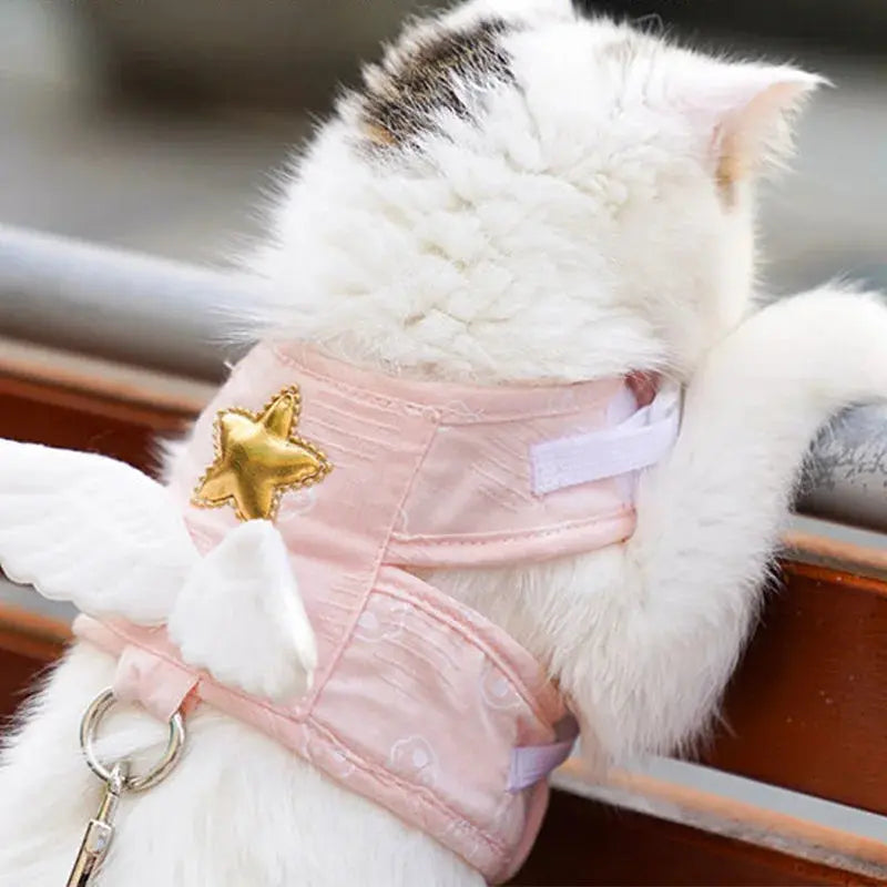 harnais chaton rose avec une étoile et deux ailes d'ange porté par un chaton blanc