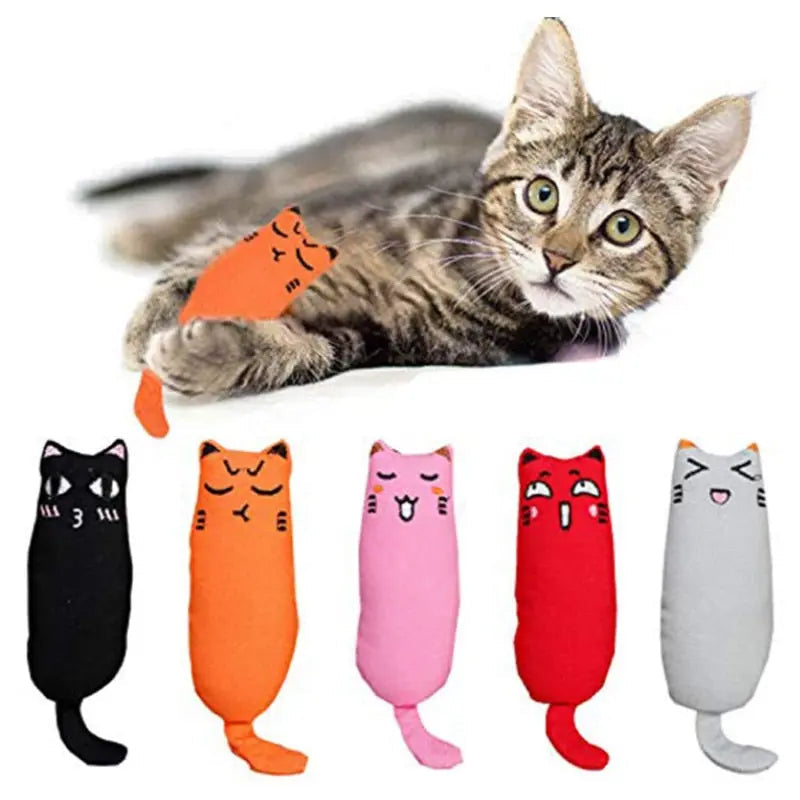 jouet chaton noir orange rose rouge gris et chat qui tient le jouet en orange