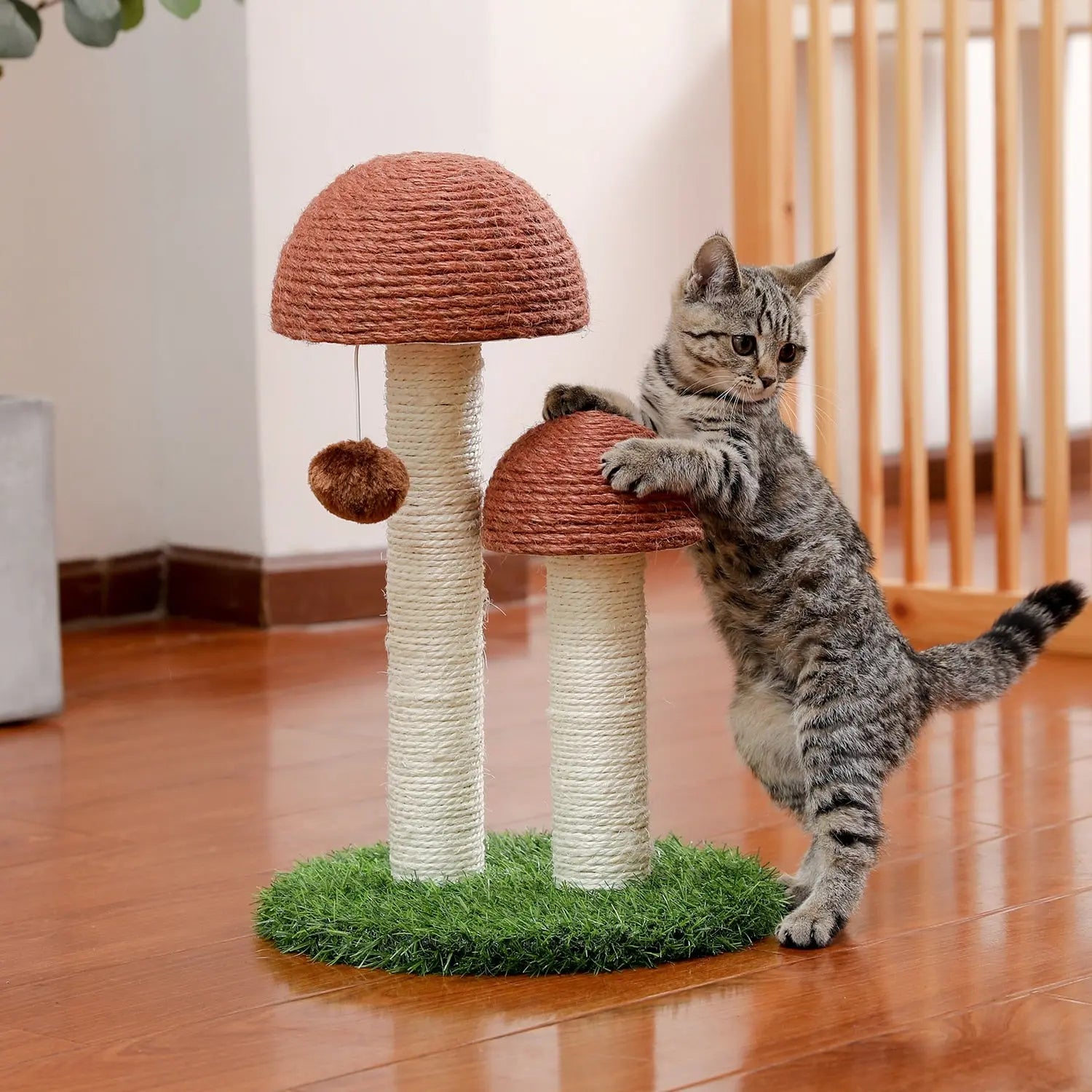 petit arbre à chat en forme de champignon avec chaton gris