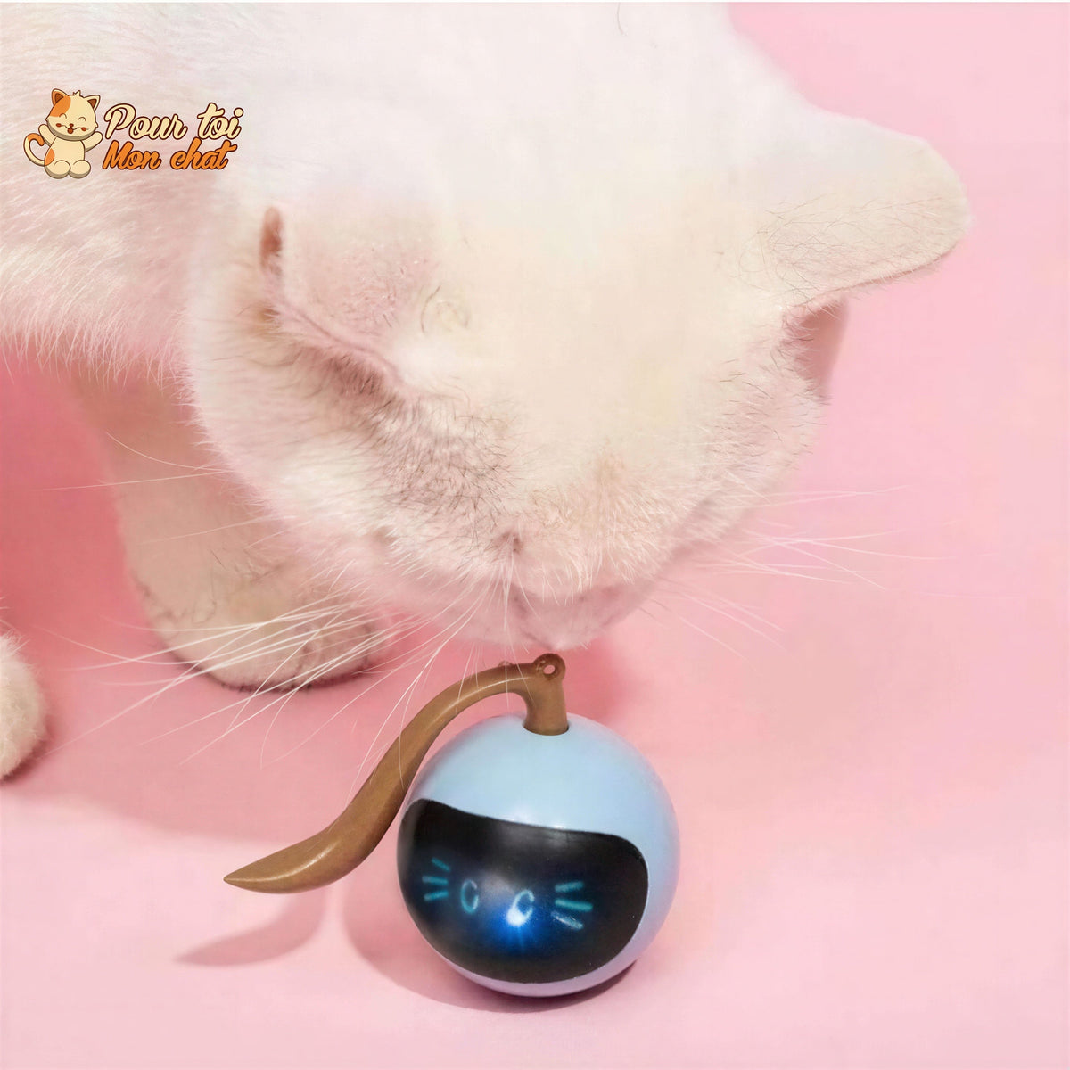 Générique Balle rebondissante Magique à 6 lumières pour Enfants – Soucoupe Volante Transformable pour Jeu en Famille et Chien – Jouet interactif et éducatif pour développement Moteur Générique Balle rebondissante Magique à 6 lumières pour Enfants – Soucoupe Volante Transformable pour Jeu en Famille et Chien – Jouet interactif et éducatif pour développement Moteur