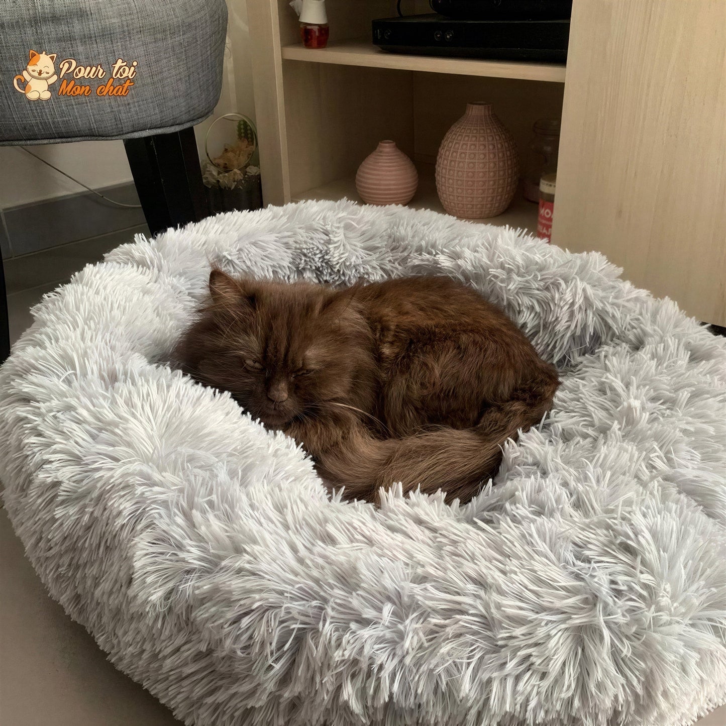 Coussin Douillet pour Chat - CoussinooRelax™ Pour toi Mon chat