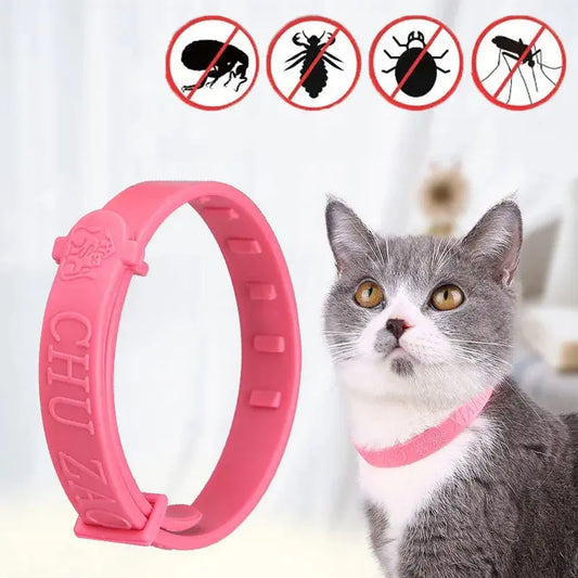 Anti Puce Chat et Chaton Sous Forme de Collier porté par un chat gris et blanc avec le fond de l'image flouté et montrant les types de parasites éliminé par le collier