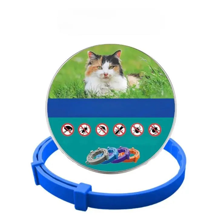 Anti Puce Chat et Chaton Style Collier Ajustable avec la boite et le collier sur fond blanc