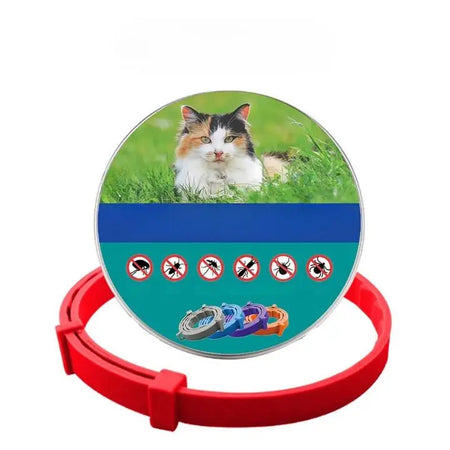 Anti Puce Chat et Chaton Style Collier Ajustable