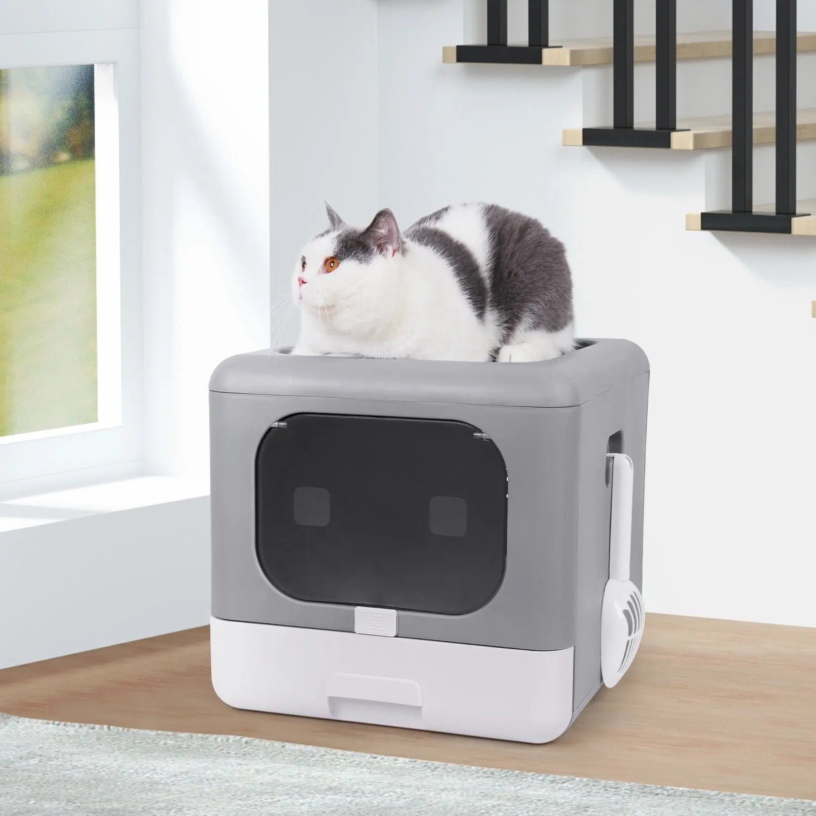 Bac à litière pliable pour chat Pour toi Mon chat