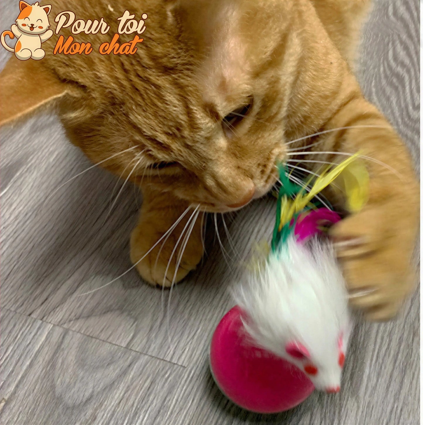 Balle culbuto avec souris - Souris'On'Ball™ Pour toi Mon chat