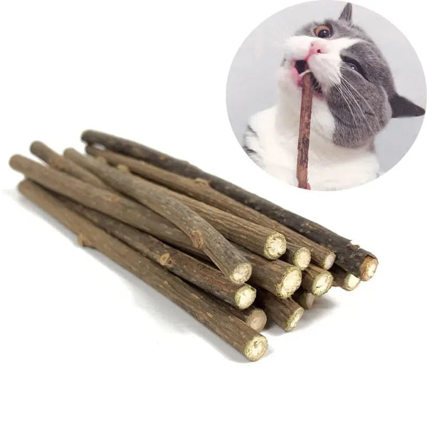 Bâtonnets en bois pour nettoyage des dents pour chat Pour toi Mon chat