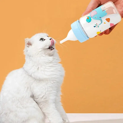 Biberon Chaton avec Motifs d'Animaux et Gradué dans la main d'une personne qui le tend vers le chaton sur fond orange et blanc