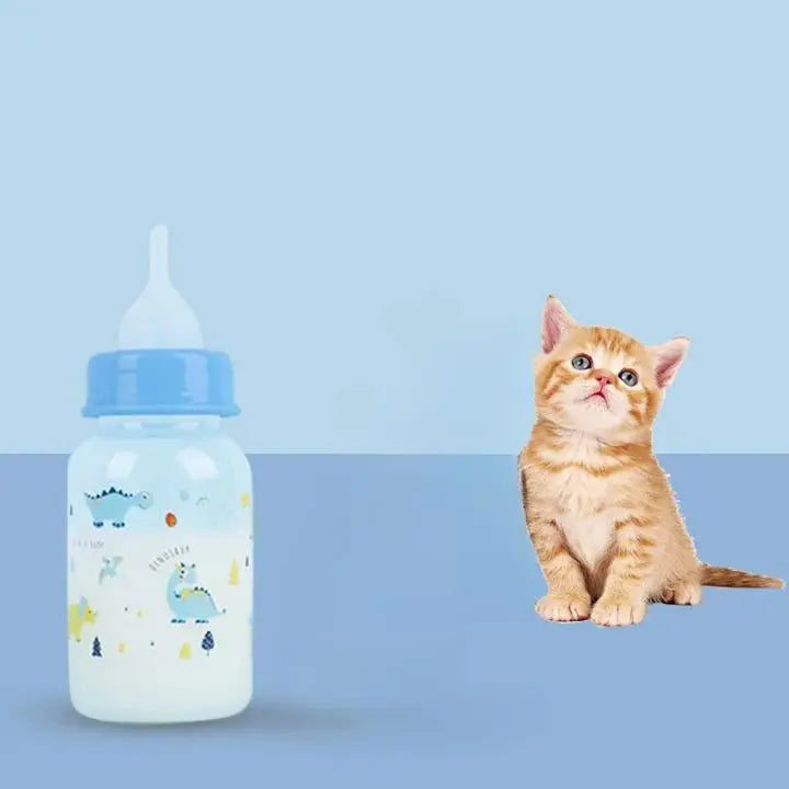 Biberon Chaton avec des Dinosaures Amusants avec un chat marron et blanc sur fond bleu