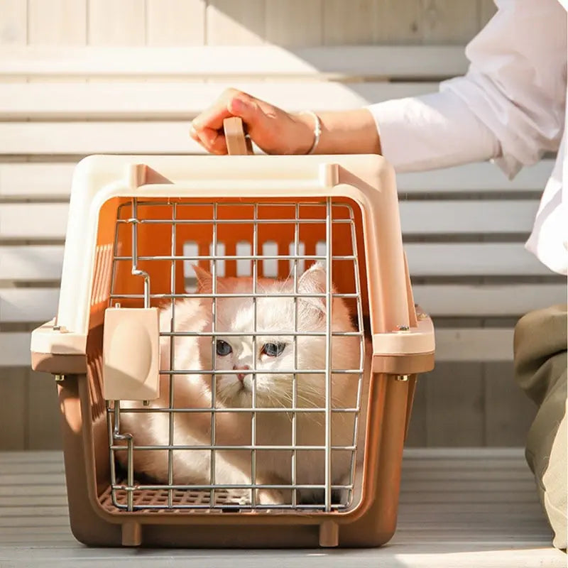 Boîte de transport à air pour chat Pour toi Mon chat