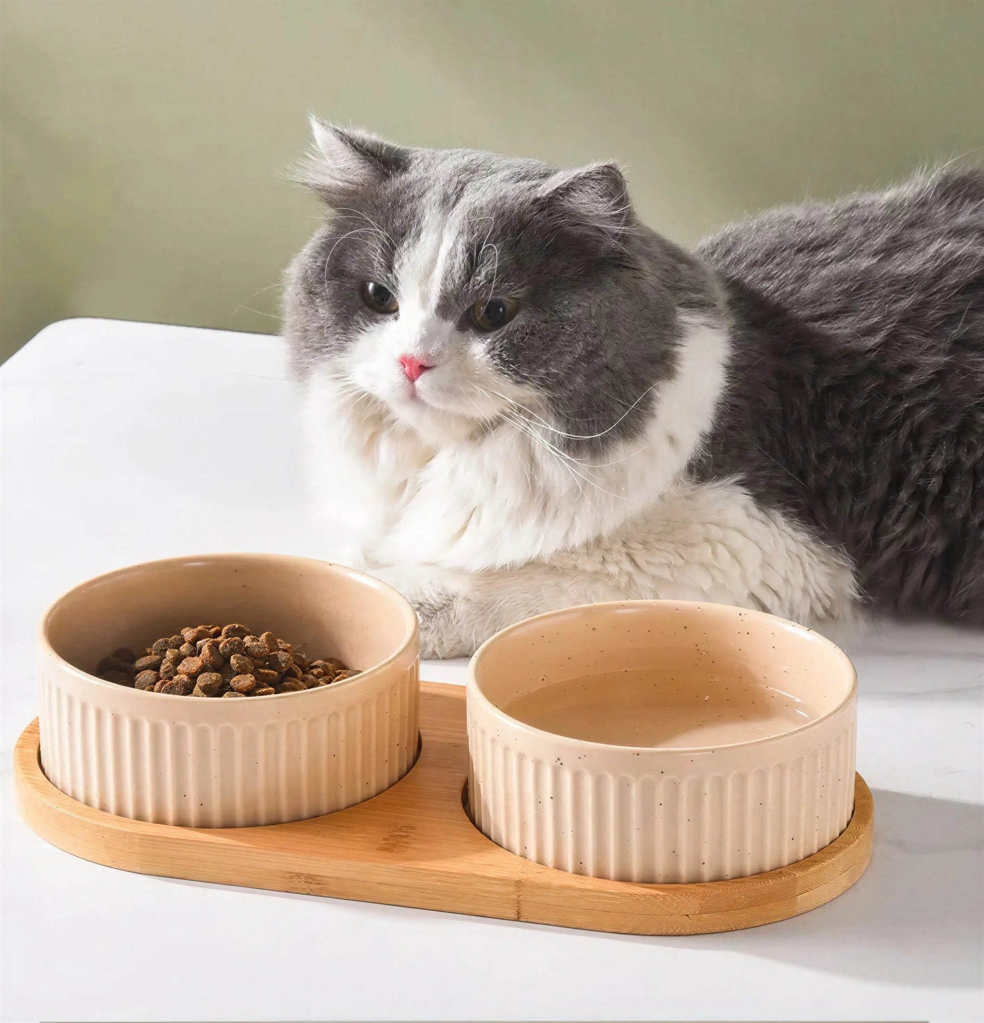 Bol en céramique avec tapis en bois pour chat Pour toi Mon chat