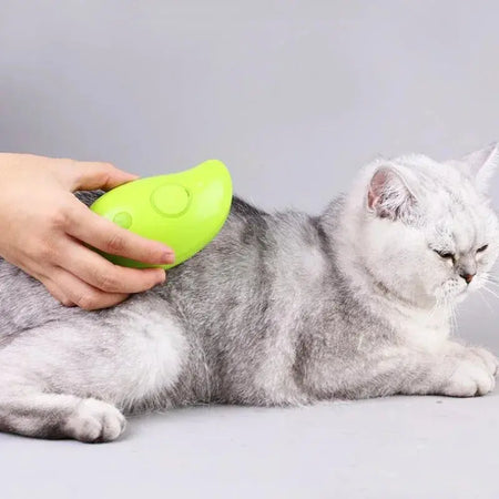 Brosse Chat Poil Long à Vapeur et Électrique avec un chat gris en train d'être brossé