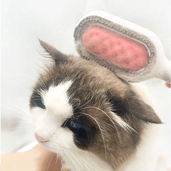 Rouleau anti-poils pour chat, simple et efficace  Au Bonheur Du Chat – Au  bonheur du chat - Boutique d'accessoires pour votre chat et pour vous