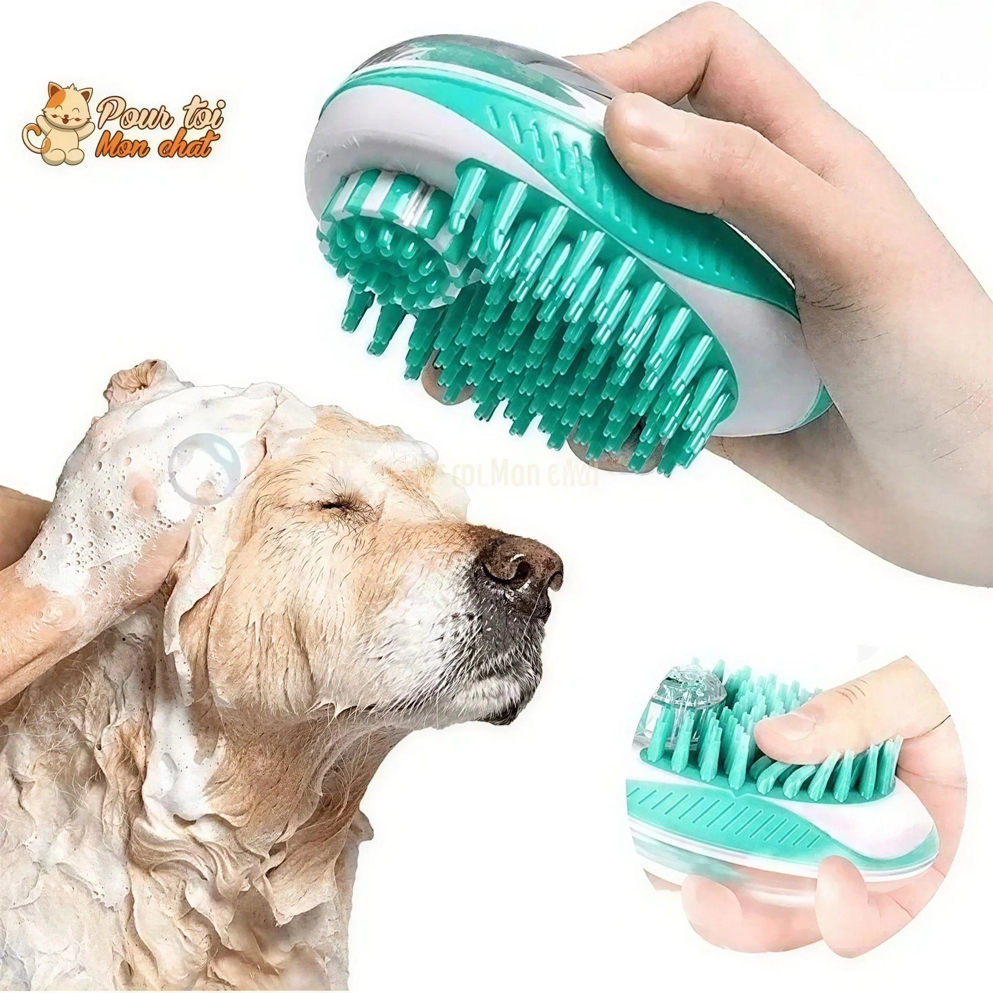 Brosse de bain et de massage pour chat – Toilettage’Chat™ Pour toi Mon chat