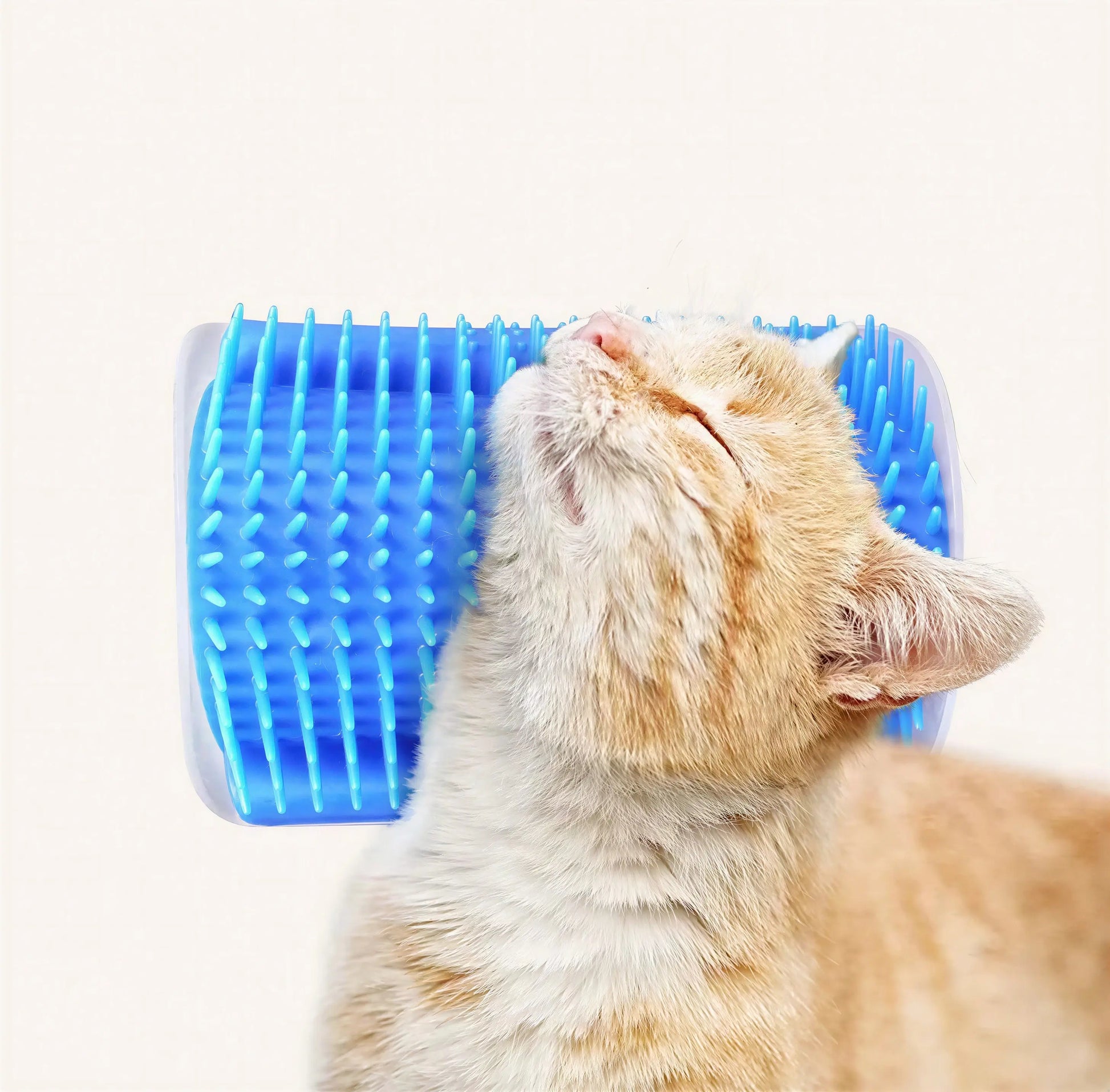Brosse de massage d'angle pour chaton Pour toi Mon chat