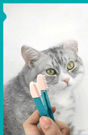 Brosse nettoyante douce pour les yeux de chat Pour toi Mon chat