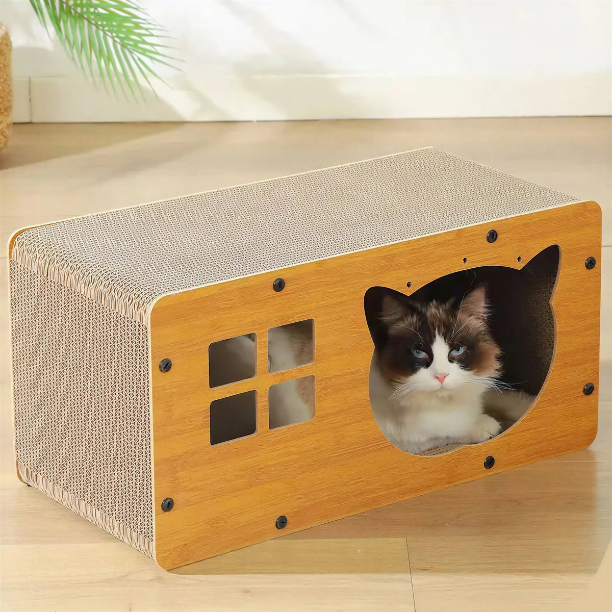 Cabane en Carton Ondulé pour Chat avec Grattoir Pour toi Mon chat