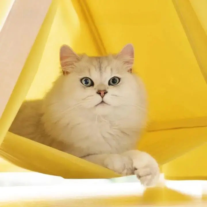 Cabane pour Chat Style Tipi avec Hamac