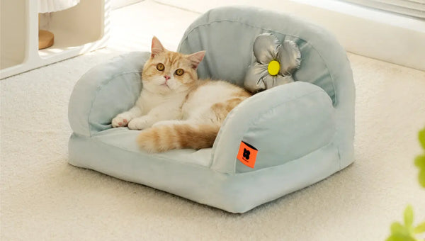Panier à chat design : bien choisir le couchage de minou – Blog BUT