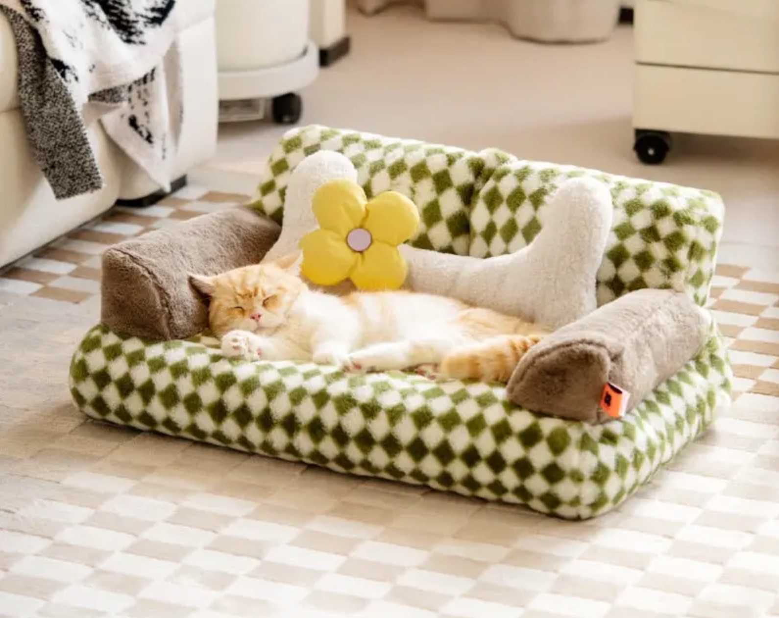 Panier à chat design : bien choisir le couchage de minou – Blog BUT