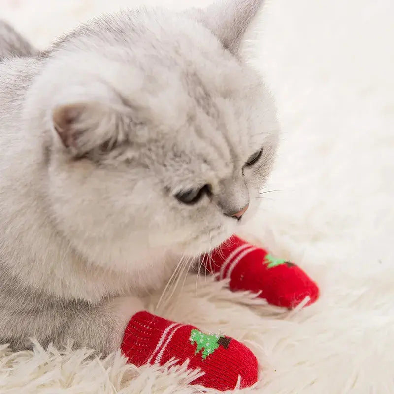 Chausson Chat avec Imprimé en Forme de Sapin de Noël porté par un chat gris sur un tapis blanc