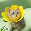 Collerette Chat Réglable et Légere en Forme de Fleur portée par un chat gris allongé sur un canapé vert