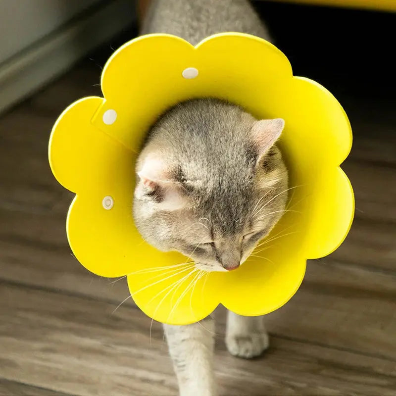 Collerette Chat Réglable et Légere en Forme de Fleur