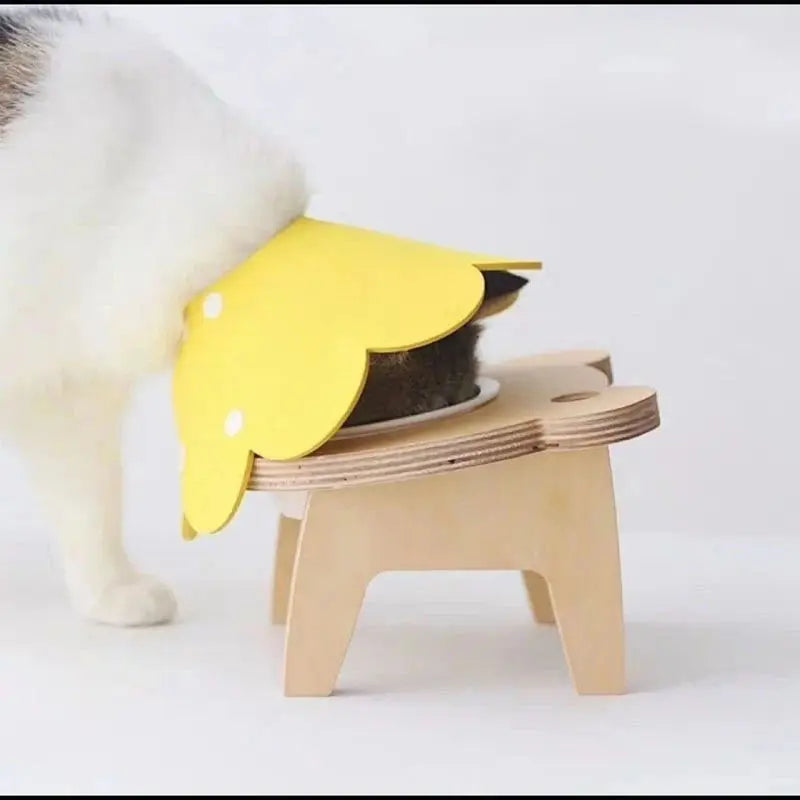 Collerette Chat Réglable et Légere en Forme de Fleur