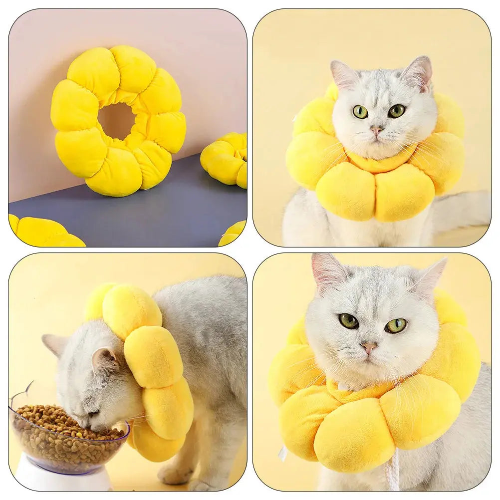 Collerette Chat Souple et Ajustable en Forme de Fleur