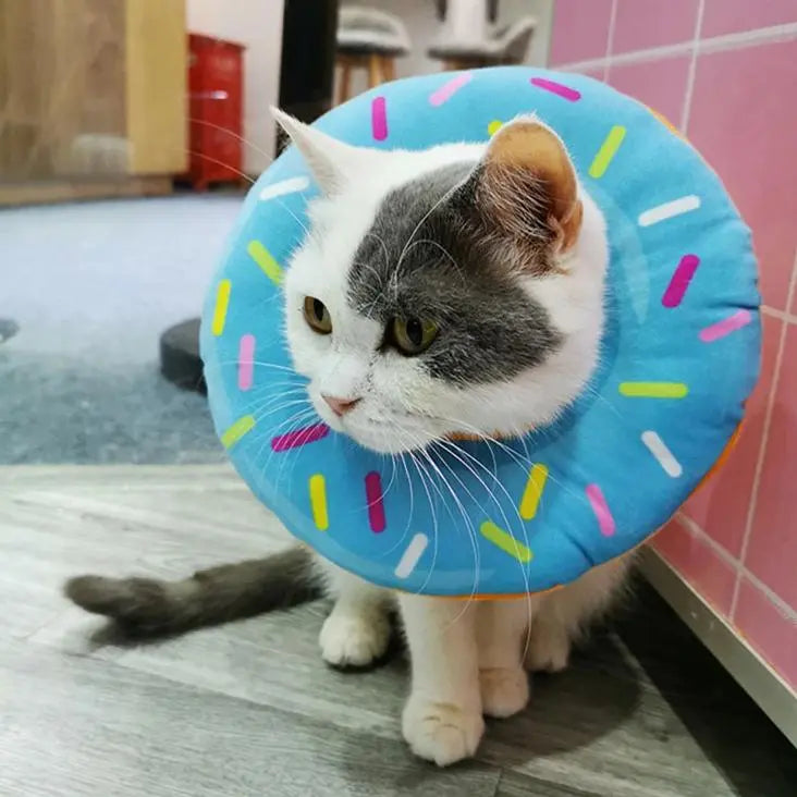 Collerette Gonflable Douce en Forme de Donut pour Chat autour du cou d'un chat blanc et gris assis contre un mur