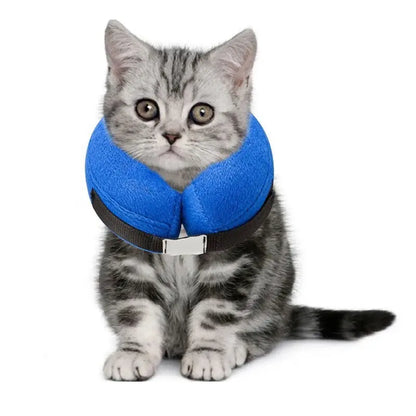 Collerette Gonflable Médicale avec Protection du Cou portée par un chat gris sur fond blanc