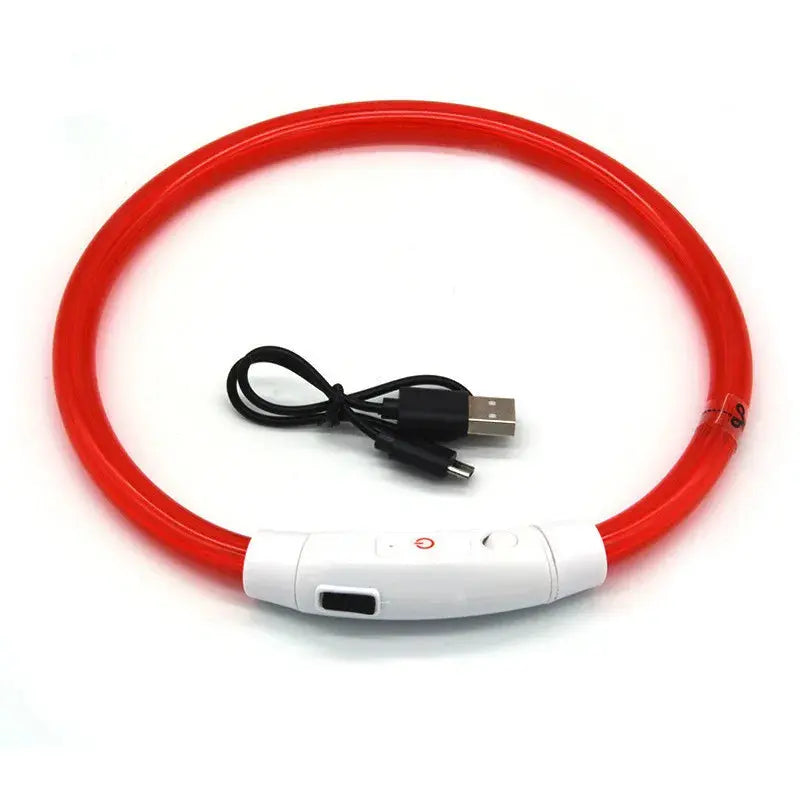 Collier Anti Fugue Lumineux à LED Rechargeable sur fond blanc