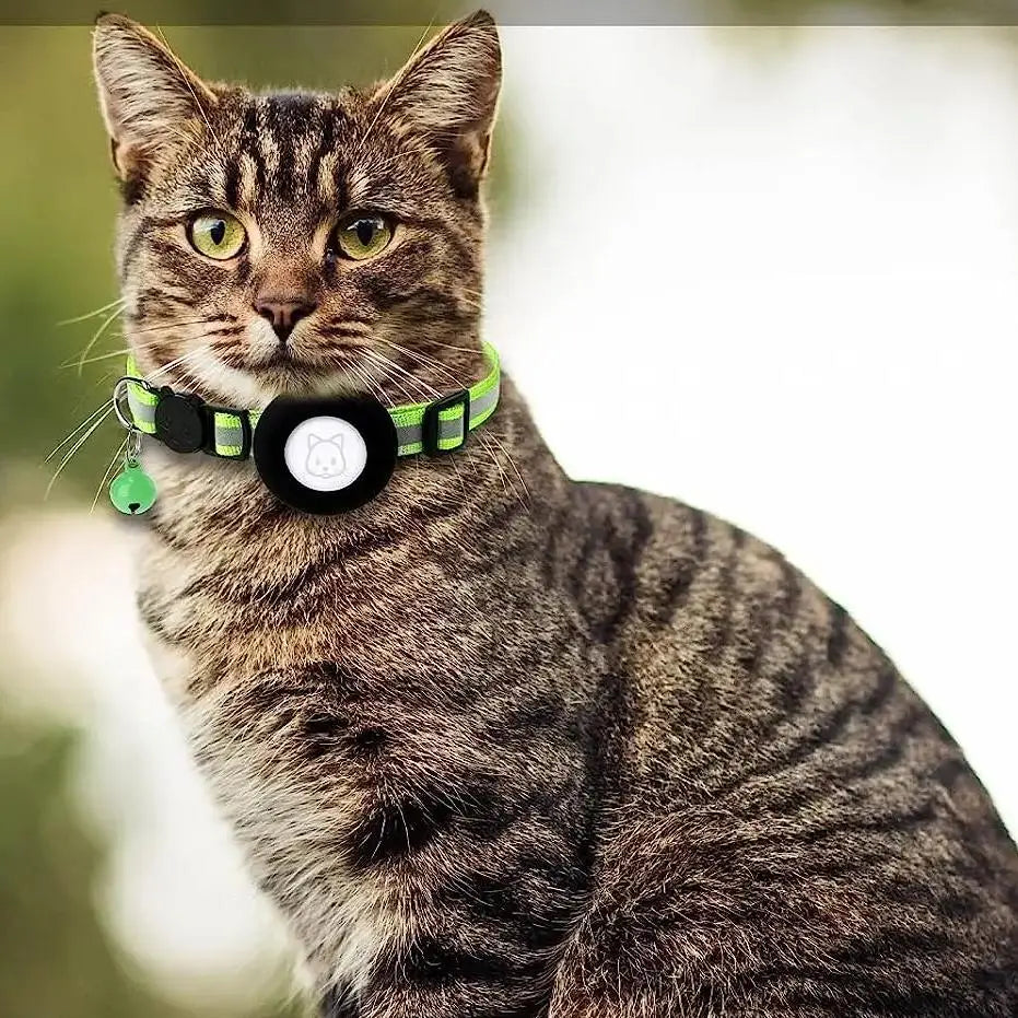 Collier Anti Fugue avec une Petite Cloche et une Poche pour Localisateur autour du cou d'un chat