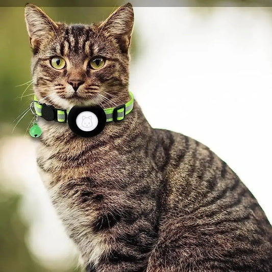 Collier Anti Fugue avec une Petite Cloche et une Poche pour Localisateur autour du cou d'un chat
