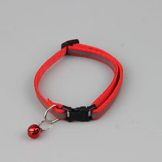 Collier Chat Anti Étranglement Réfléchissant avec Clochette sur fond gris