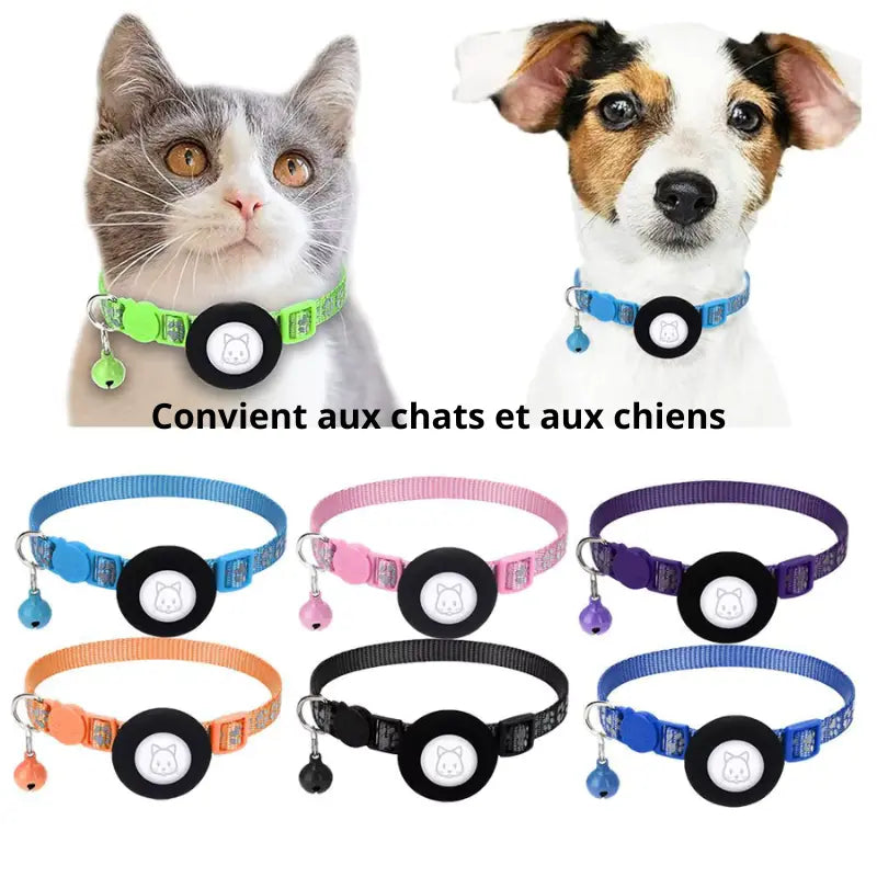 Collier Chat Anti Étranglement à Dégagement Rapide avec Emplacement pour Traqueur Pour toi Mon chat