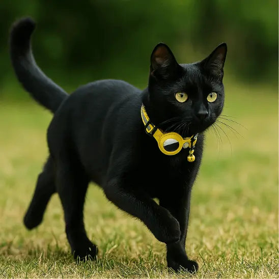 Collier GPS Chat - Support Airtag, Collier de Suivi Anti Perte : en jaune porté par un chat noir qui court sur l'herbe
