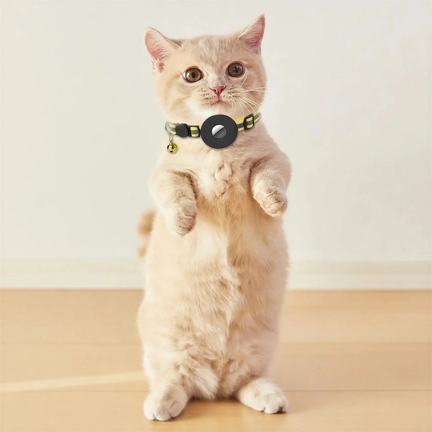 Collier support de repérage GPS pour chat Pour toi Mon chat