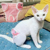 Couche pour Chat Design et Douce avec une Fraise Imprimé portée par un chat blanc assis sur un canapé avec des coussin et une couverture bleue