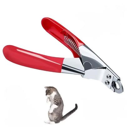 Coupe Griffe Chat Ergonomique en Acier Inoxydable sur fond blanc avec un chat gris et blanc en dessous