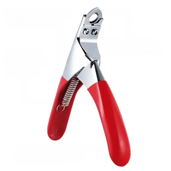 Coupe Griffe Chat Ergonomique en Acier Inoxydable